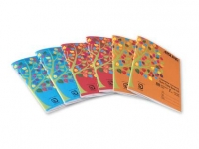 AISLING Writing/Sum Copybook 2.99 €