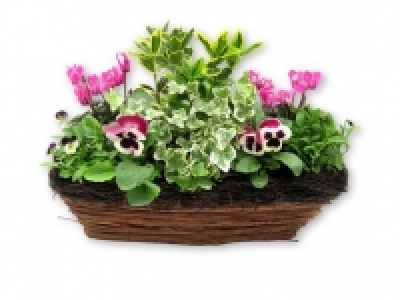 Autumn Window Box 12.99 €