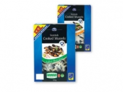 SCOTTISH SHELLFISH Scottish Cooked Mussels
