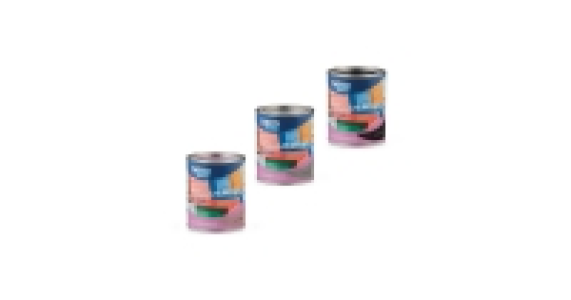 Deco Style Glossy Colour Paint 1L