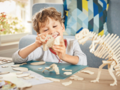CRELANDO 3D Wooden Puzzle