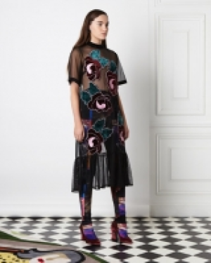 Joanne Hynes Mesh Applique Dress