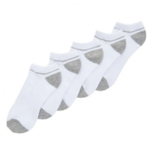 Terry Liners - Pack Of 5