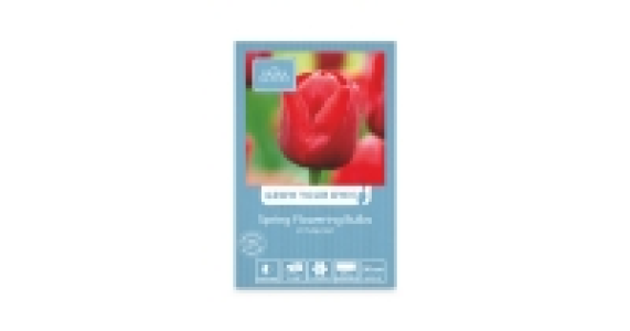 Spring Flowering Bulbs 1.99 €