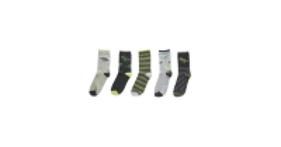 Lily & Dan Dino Socks 5 Pack