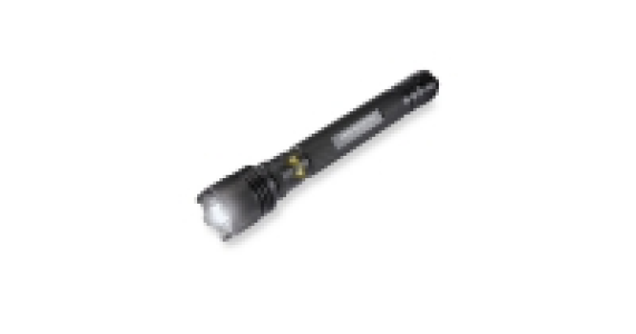 Workzone 10W LED 4D Security Torch