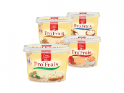 CHENE DARGENT FroFrais French Soft Cheese