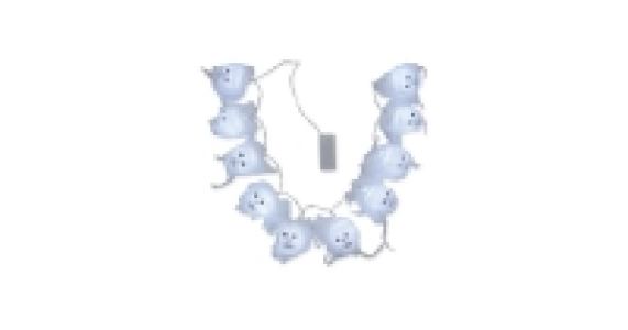Halloween Magic Veiled Skull Lights