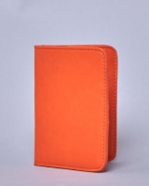 Lennon Courtney at Dunnes Stores Passport Cover