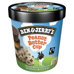 Ben & Jerrys Peanut Butter Cup Ice Cream