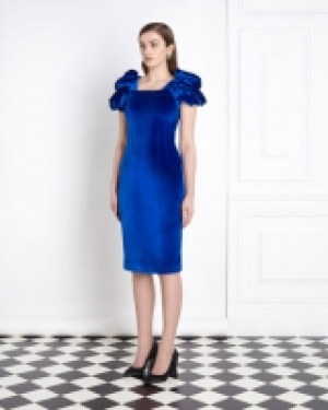 Joanne Hynes Draped Velvet Dress
