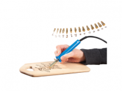 CRELANDO 30W Woodburning Iron Set