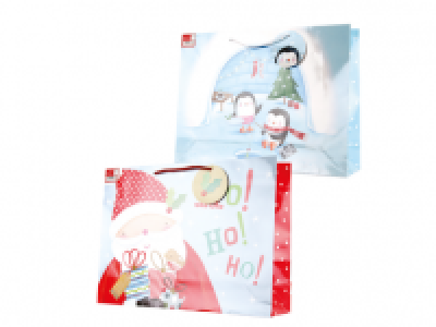 Large Gift Bags