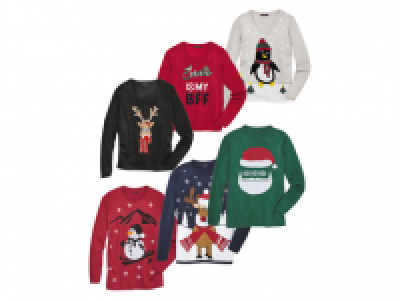 ESMARA /LIVERGY Christmas Jumper