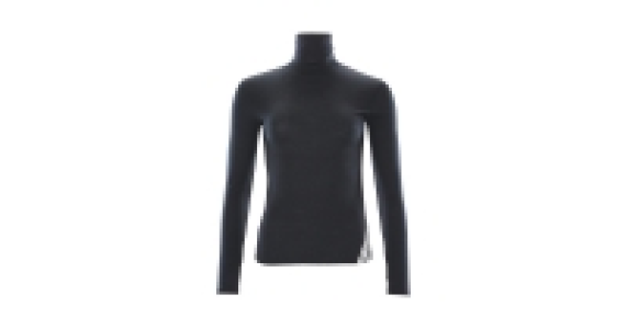 Crane Ladies Merino Roll Neck Top