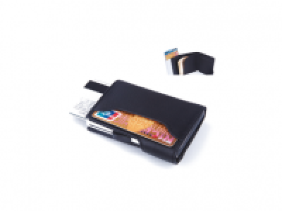 C SECURE Wallet