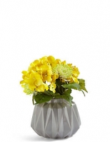 Marks and Spencer  Hydrangea & Thistle in Ceramic