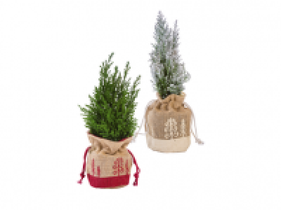 Mini Christmas Tree in Gift Bag