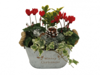 Christmas Arrangement