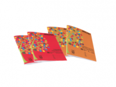 AISLING® Writing/Sum Copybook 2.99 €