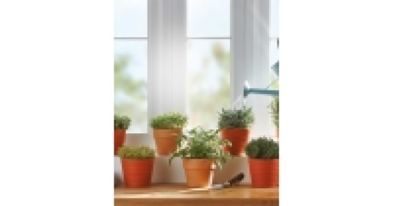 Italian Herbs in Terracotta 3.49 €