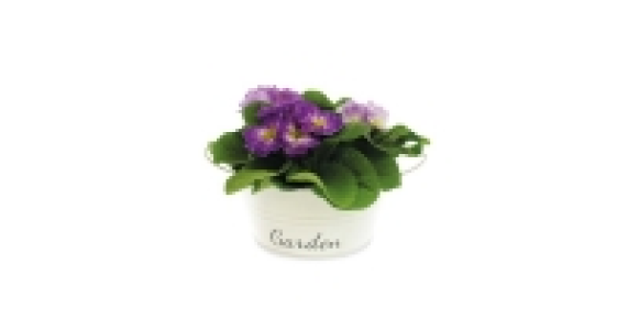 The Green Garden Spring Planter