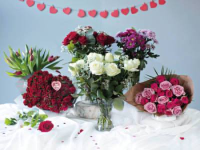 Valentines Flowers
