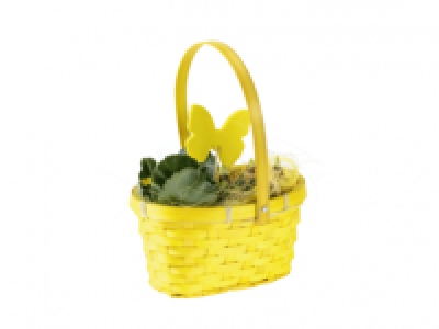 Spring Blossoms in Carrybag