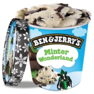 Ben & Jerrys Topped Strawberry Swirl