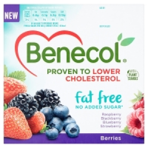 Benecol Yogurt Fat Free Forest Fruit 4 Pack