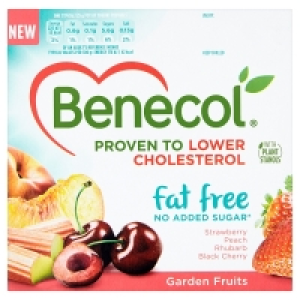Benecol Yogurt Fat Free Variety Yogurt 4 Pack