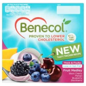 Benecol Yogurt Fruit Medley 4 Pack