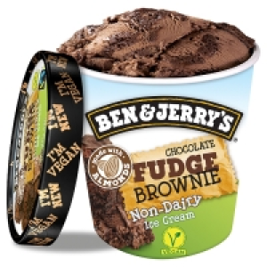 Ben & Jerrys Dairy Free Choc Fudge Brownie 5.00 €