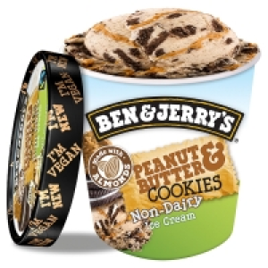 Ben & Jerrys Dairy Free Peanut Butter