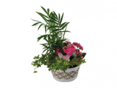 Mothers Day Planters