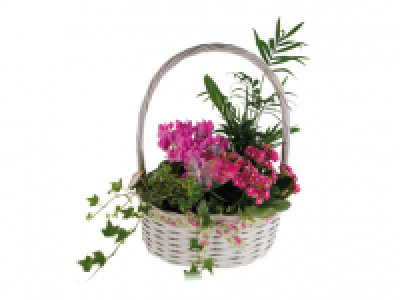 Mothers Day Hooped Basket