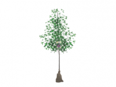 Fruit Tree 7.49 €