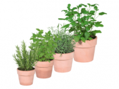 Italian Herbs 3.49 €