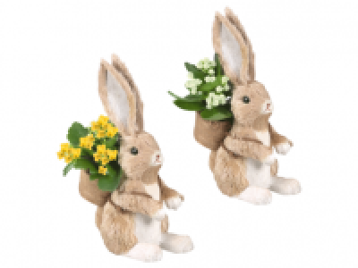 Small Bunny Arrangement 4.99 €
