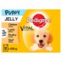 Tesco  Pedigree Jelly Puppy Food Pouches 12