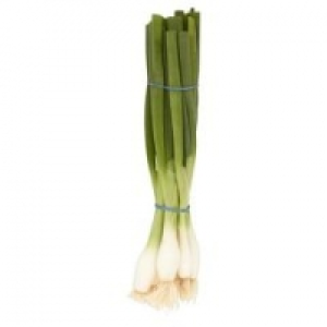 Scallions Bunch 0.49 €