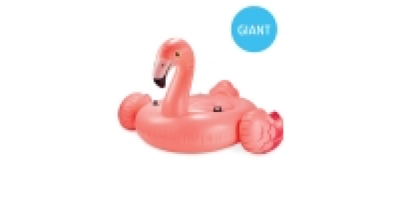 Intex Giant Flamingo Ride On Float