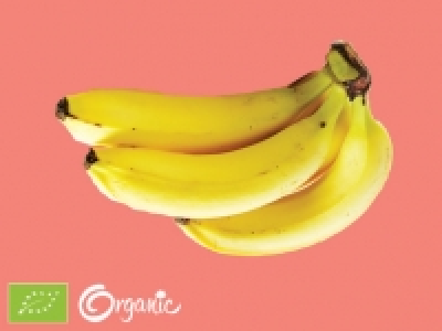 Organic Fairtrade Bananas