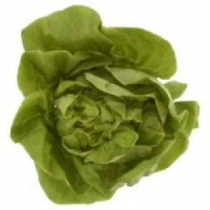 Butterhead Lettuce 0.69 €