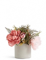 Marks and Spencer  Rose & Hydrangea in Cylinder Pot