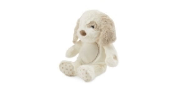 Aldi  Little Town Musical Dog Plush Toy