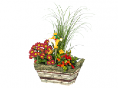 Autumn Window Box 12.99 €