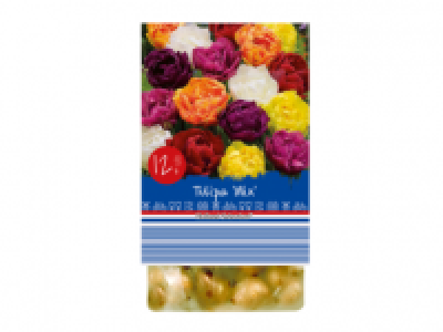 Spring Flowering Bulbs 1.99 €