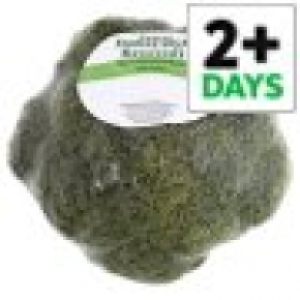 Tesco Family Pack Broccoli 0.49 €