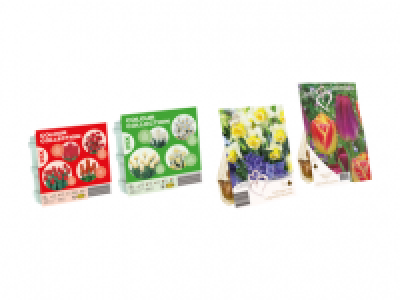 Assorted Bulbs 2.99 €